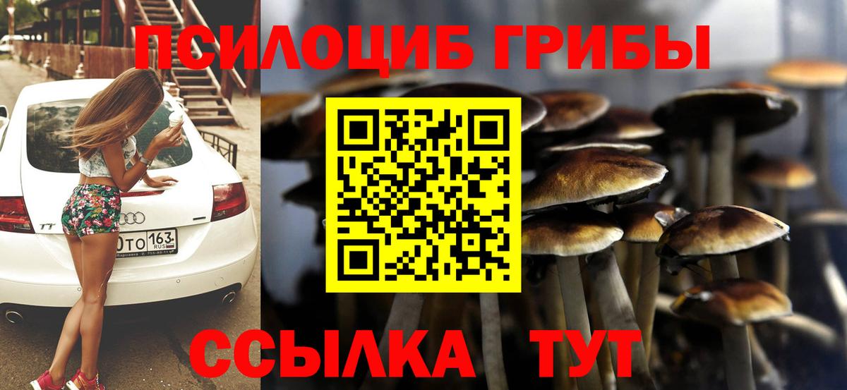 Строитель  что такое наркотик  Галлюциногенные грибы Cubensis  Вход с VPN  Галлюциногенные грибы Cubensis 